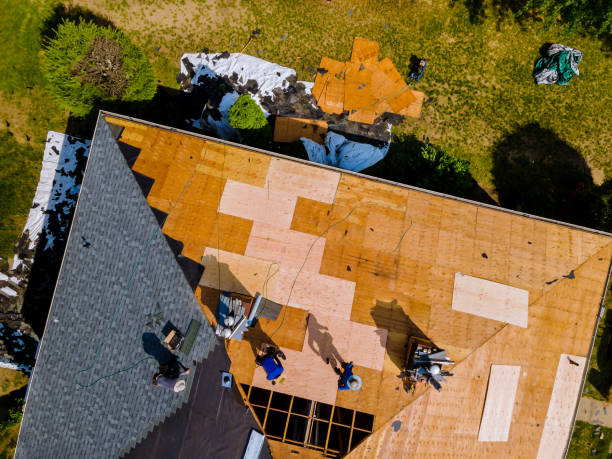 Best Storm Damage Roof Repair  in Maroa, IL