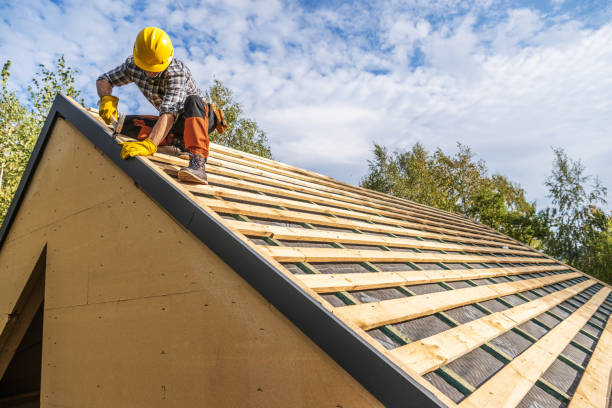 Best Flat Roof Repair Services  in Maroa, IL