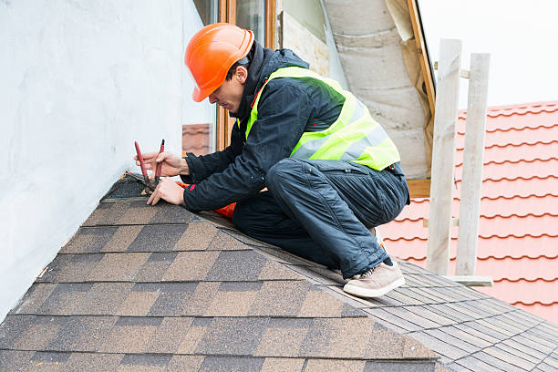 Best Roof Gutter Cleaning  in Maroa, IL